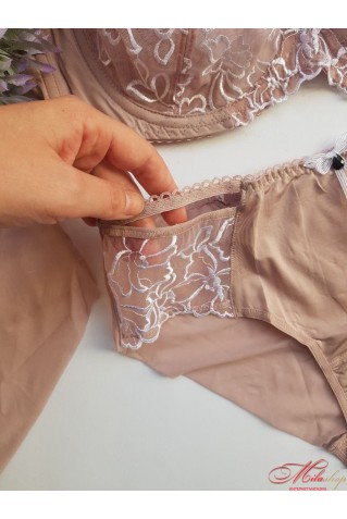 Жіночі трусики сліпи з мікросіточки з вишивкою Lanny Mode 52410 пудра 